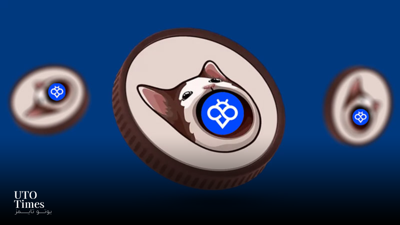 آموزش خرید میم کوین POPCAT از صرافی توبیت