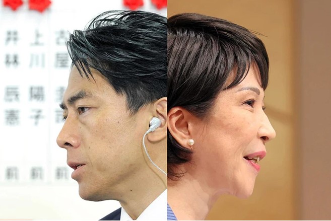 انتخابات ژاپن