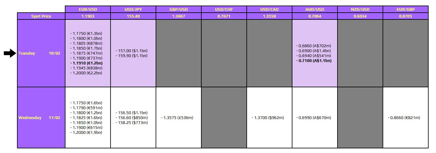 قرارداهای آپشن ۱۰ فوریه ۲۰۲۶