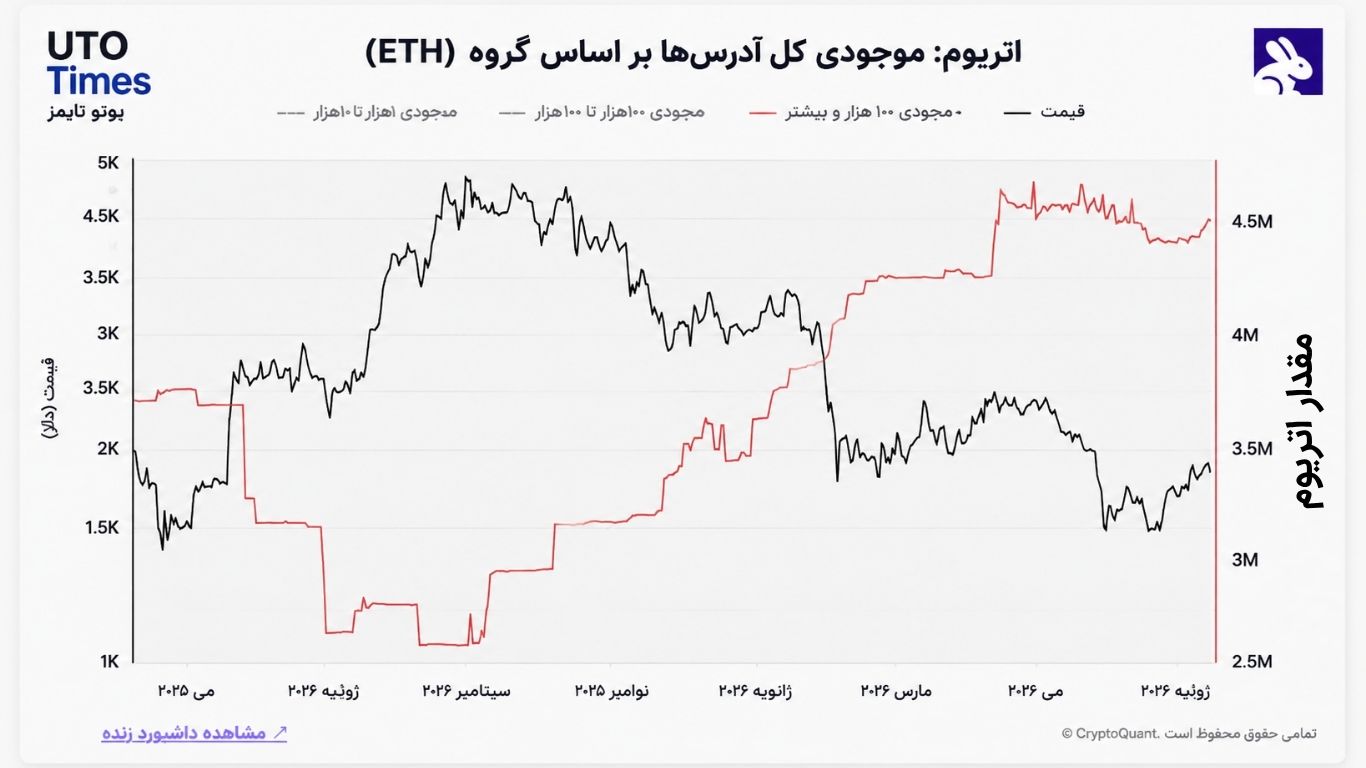 رفتار متفاوت سرمایهگذاران در بازار اتریوم و ریپل