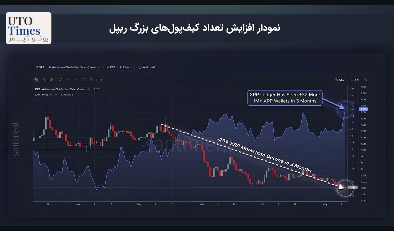 تقاضای نهادی برای XRP همچنان ادامه دارد
