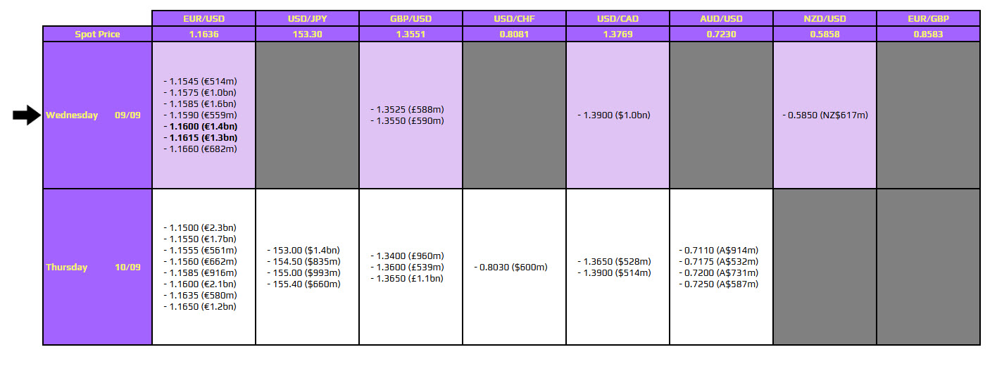 FX OPTION