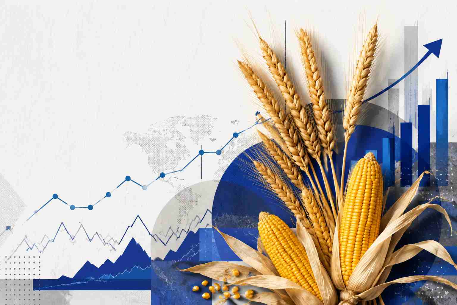 بورس غلات ترکیه